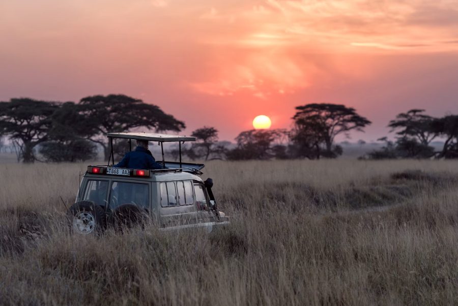 Llanuras del Serengeti al amanecer