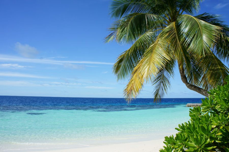Playa privada en Zanzíbar